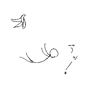 ��. ��������ʉ���ƌ���